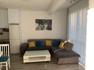 Апартаменты Apartman Misovic Херцег-Нови Апартаменты с 1 спальней-16