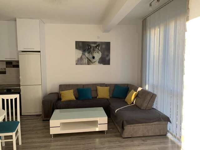 Апартаменты Apartman Misovic Херцег-Нови-18